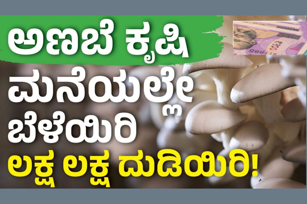 mushroom farming business plan in kannada